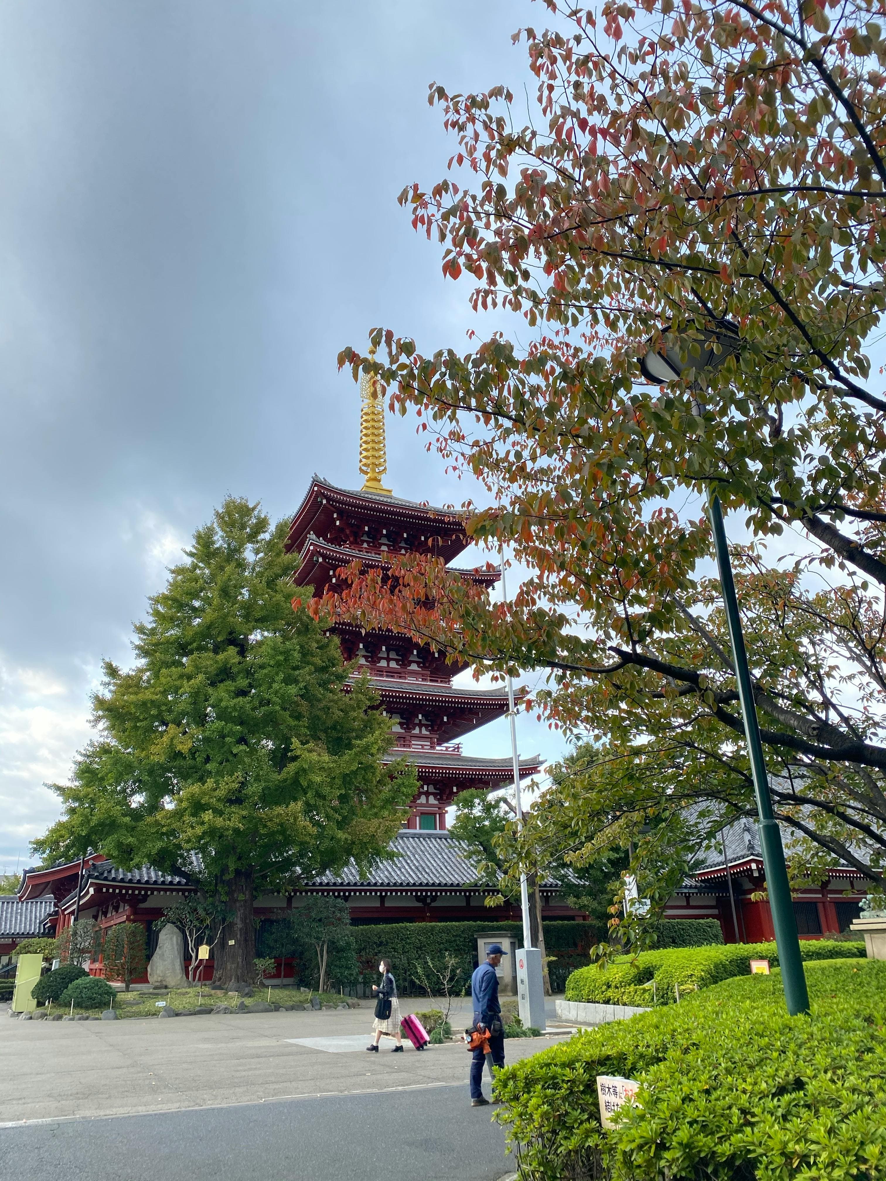 Korean BBQ lettuce wraps with grilled meat and vegetables